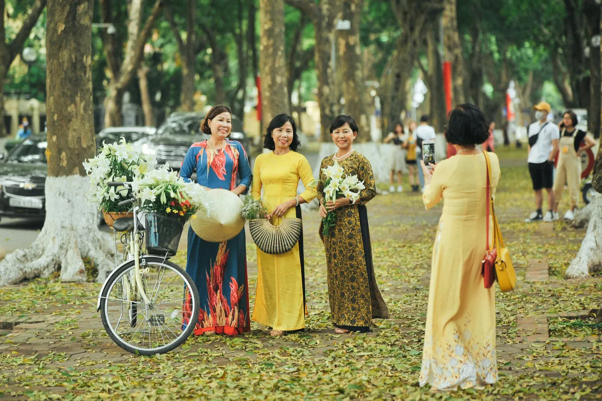 Loa kèn cuối mùa trên con đường lãng mạn nhất Hà Nội - Ảnh 1.