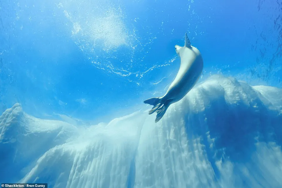 Những bức h&igrave;nh tuyệt đẹp về nơi thời gian như đ&oacute;ng băng - Ảnh 2.