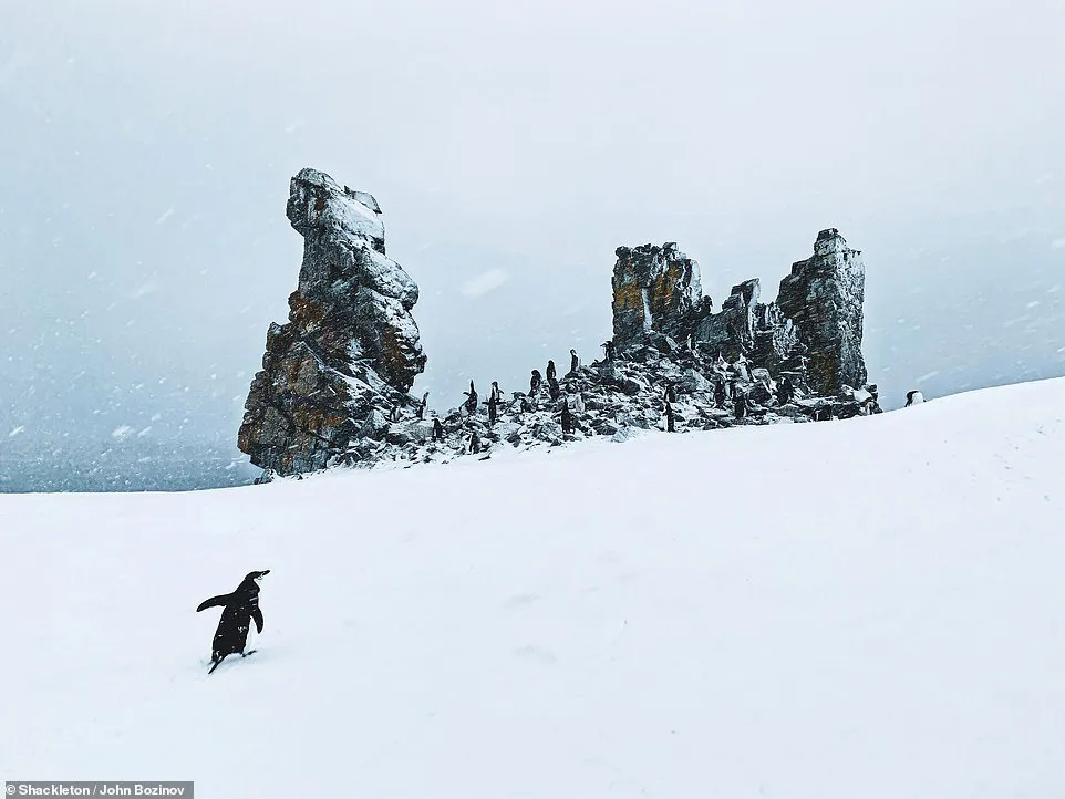 Những bức h&igrave;nh tuyệt đẹp về nơi thời gian như đ&oacute;ng băng - Ảnh 25.