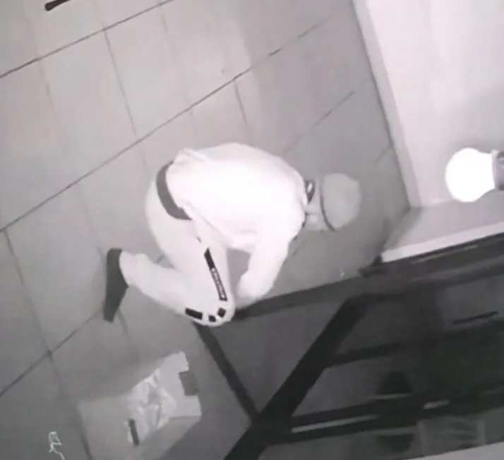 Phá chuyên án 083C, bắt siêu trộm Mèo đen - Ảnh 1.