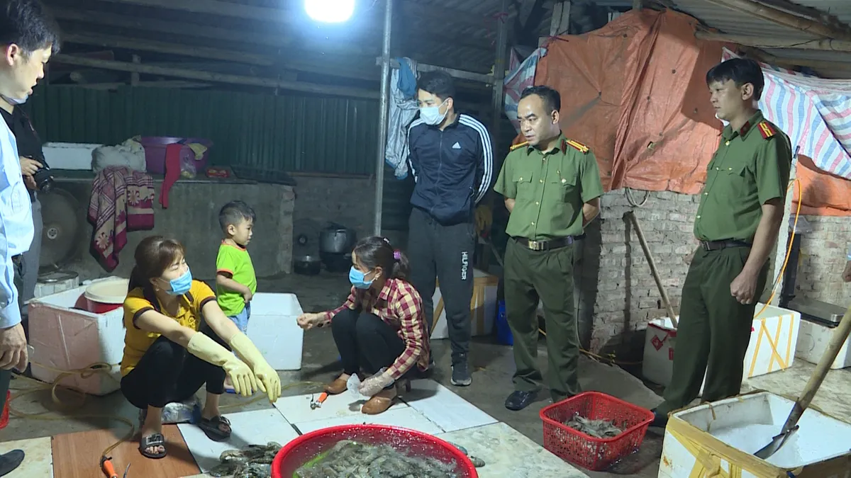 Cận cảnh bơm tạp chất vào tôm để trục lợi - Ảnh 4. Cận cảnh bơm tạp chất vào tôm để trục lợi - Ảnh 4.