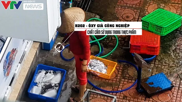 Mực thối tẩy trắng vào nhà hàng ở chợ Long Biên: Lỗ hổng chết người ở đâu? - Ảnh 4.