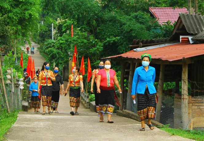 Cử tri Cà Mau, Nghệ An và Quảng Bình đi bầu cử sớm - Ảnh 3.