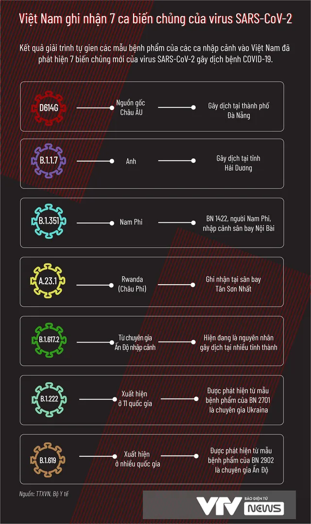 [Infographic] Việt Nam ghi nhận 7 biến chủng của SARS-CoV-2 - Ảnh 1.