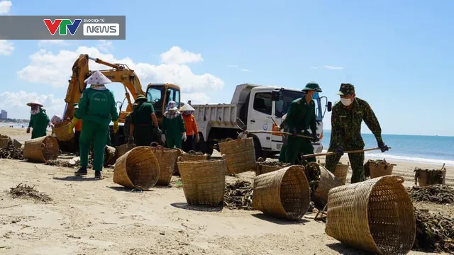 100 tấn rác tràn vào bãi biển Vũng Tàu - Ảnh 2.