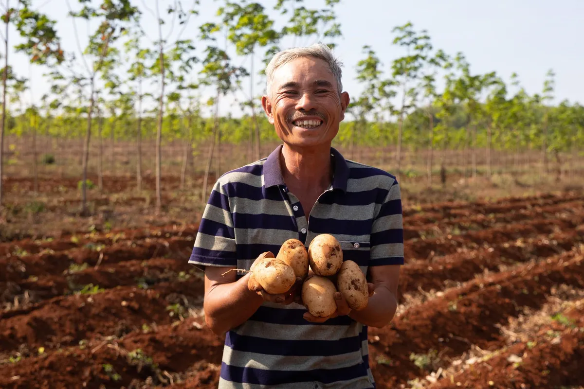 Nông dân vui mừng vỡ òa với vụ khoai tây được mùa - Ảnh 1.