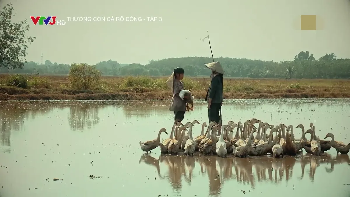 Thương con cá rô đồng - Tập 3: Dì Tư bắt sống hai chị em Nhớ rao bán vịt - Ảnh 1.