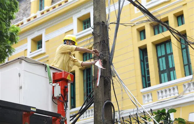 Hà Nội: Cây to bật gốc đè sập tường, chắn ngang phố Hỏa Lò - Ảnh 6.