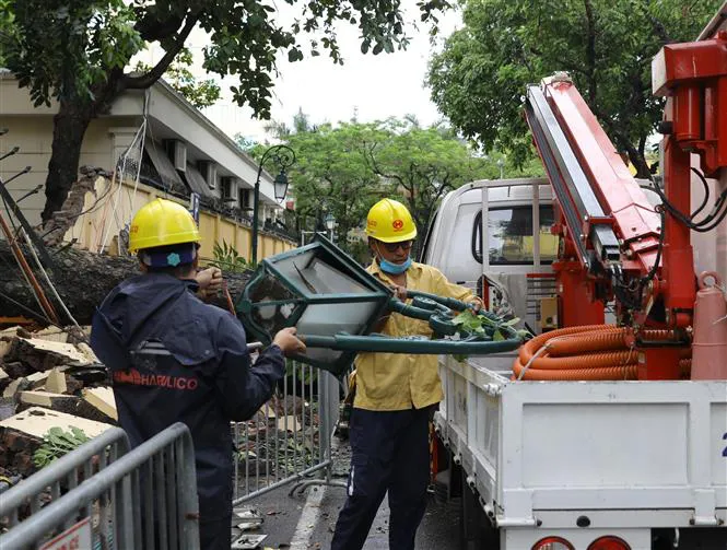 Hà Nội: Cây to bật gốc đè sập tường, chắn ngang phố Hỏa Lò - Ảnh 5.