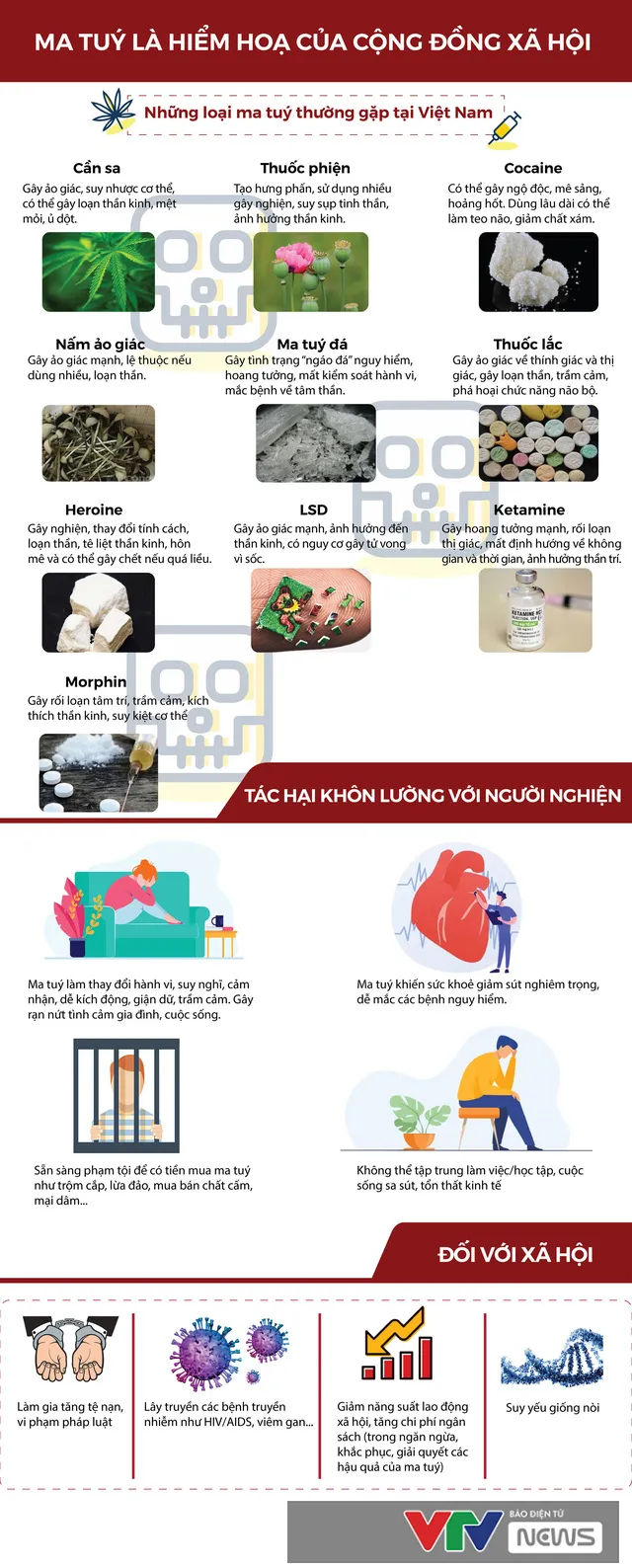 [Infographic] Ma túy - tàn phá sức khỏe, hiểm họa xã hội - Ảnh 1.