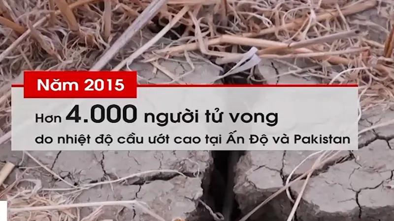Nắng n&oacute;ng c&oacute; thể l&agrave; kẻ s&aacute;t nh&acirc;n h&agrave;ng loạt, kh&ocirc;ng k&eacute;m COVID-19 - Ảnh 2.