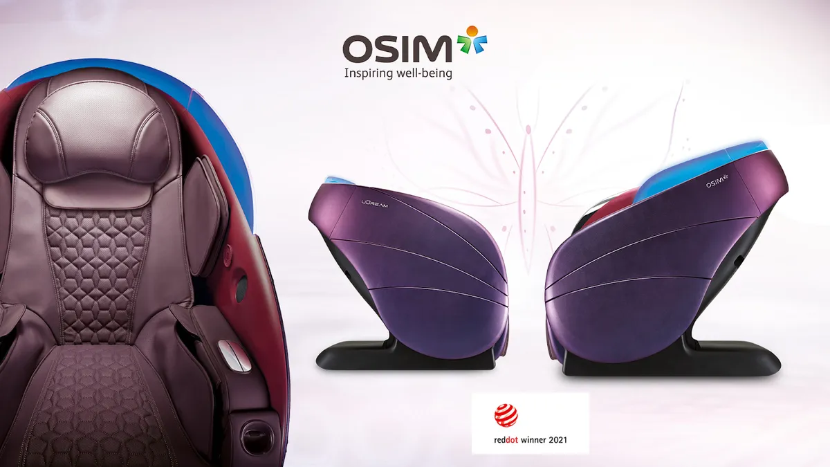 Định nghĩa thị trường ghế massage cao cấp tại Việt Nam - Ảnh 2.