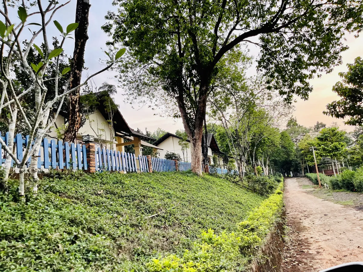 V&igrave; sao dự &aacute;n Felicia City B&igrave;nh Phước tạo sức h&uacute;t trong m&ugrave;a dịch? - Ảnh 2.