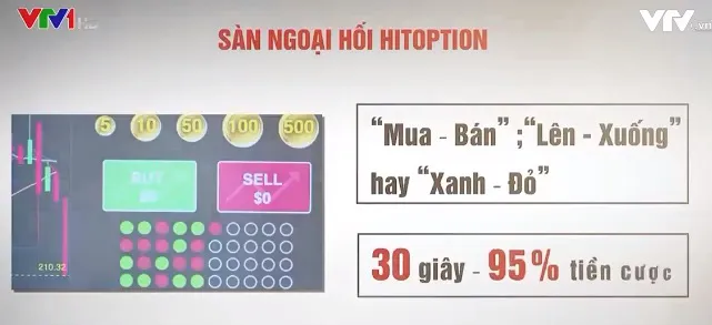 Hitoption tung chiêu “thả mồi lùa gà”, nhà đầu tư mờ mắt vì lãi khủng - Ảnh 1.