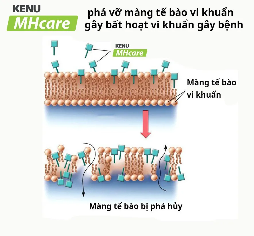 KENU MHcare - Bước tiến đột phá hỗ trợ điều trị viêm mũi dị ứng, viêm xoang, viêm amidan - Ảnh 1.