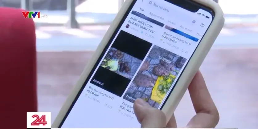 Đeo mác khoe thú cưng buôn bán trái phép động vật hoang dã trên TikTok - Ảnh 1.