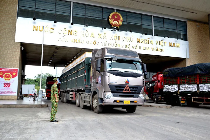 “Đối sách linh hoạt” không để ùn ứ các mặt hàng nông sản - Ảnh 2.