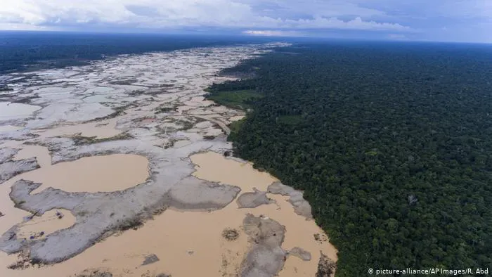 Kỷ lục 1.180 km² rừng Amazon tại Brazil bị phá hủy trong tháng 5 - Ảnh 2.