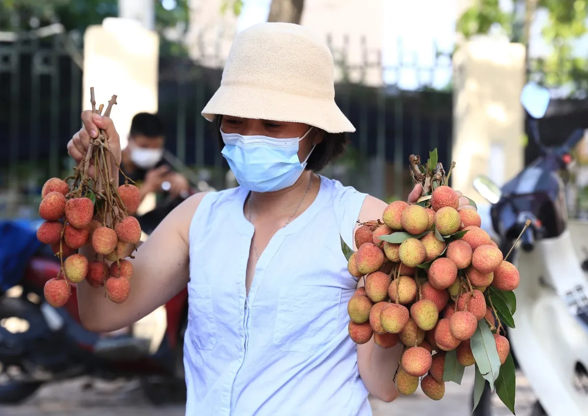 Gần 100.000 tấn vải đã được tiêu thụ - Ảnh 1.