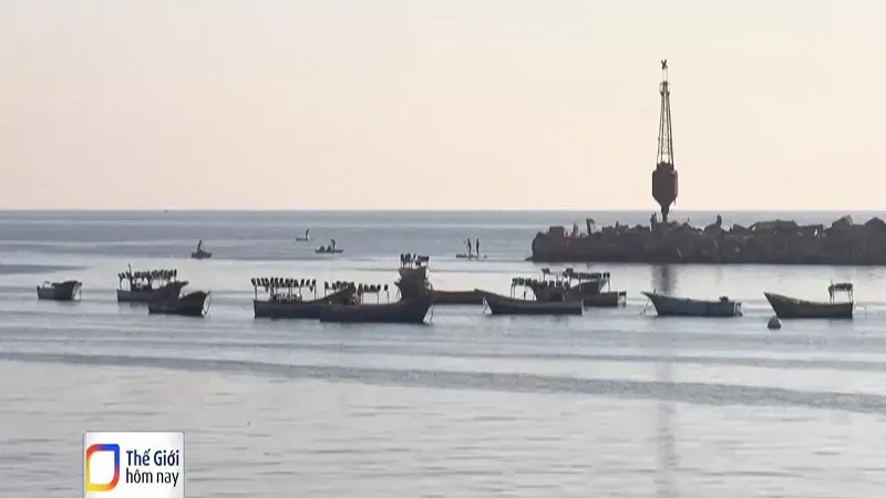 20 năm WTO chưa thống nhất được thỏa thuận trợ cấp nghề c&aacute; - Ảnh 2.