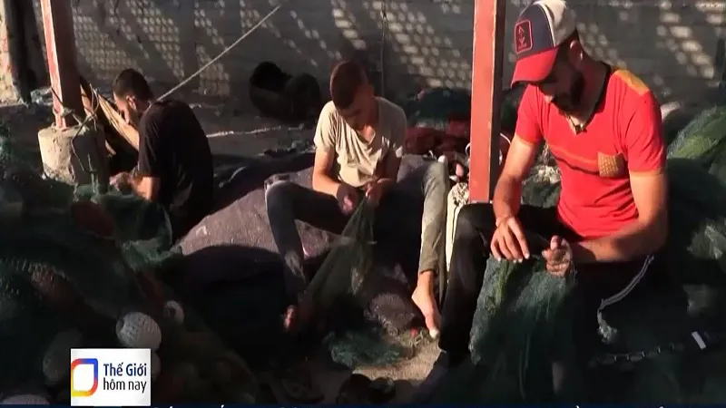 20 năm WTO chưa thống nhất được thỏa thuận trợ cấp nghề c&aacute; - Ảnh 1.