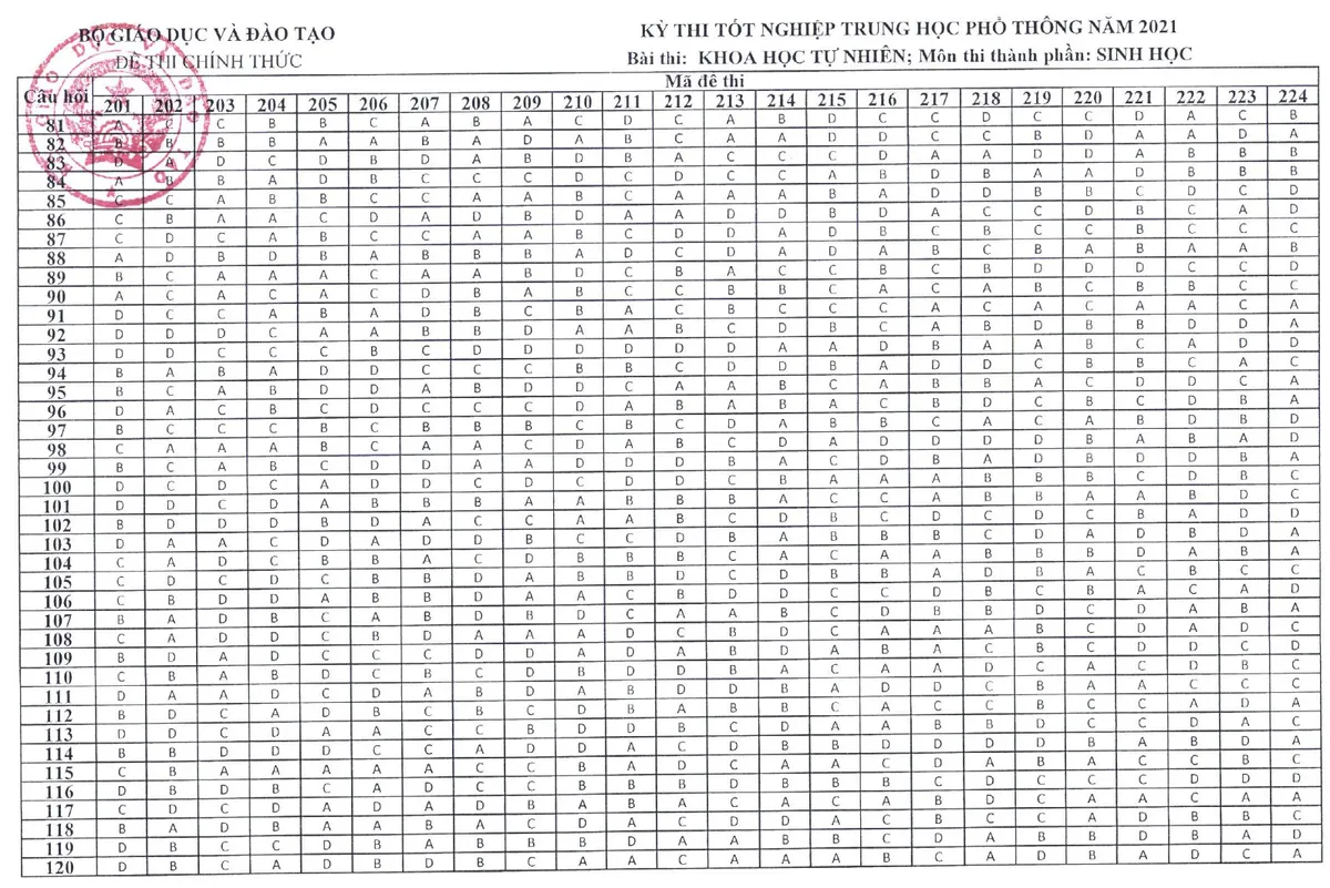 CHÍNH THỨC: Đáp án môn tổ hợp Khoa học tự nhiên kỳ thi tốt nghiệp THPT 2021 đợt 1 - Ảnh 3.