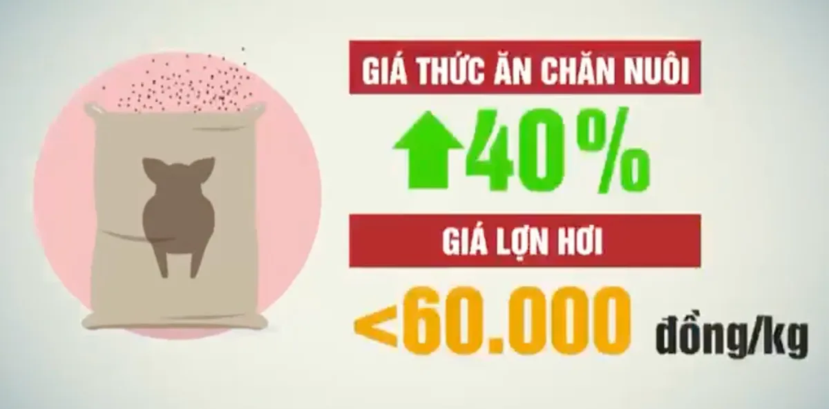 Giá thức ăn tăng chóng mặt, người chăn nuôi treo chuồng - Ảnh 1.