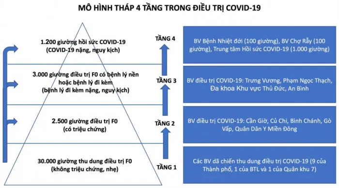 Năng lực điều trị bệnh nhân COVID-19 của Việt Nam và những kết quả ngoạn mục - Ảnh 2.