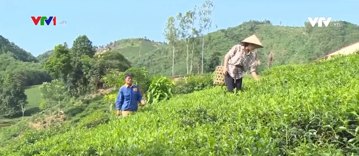 Giáo viên mầm non tư thục mùa dịch - mỗi người một ngả nghề - Ảnh 1.