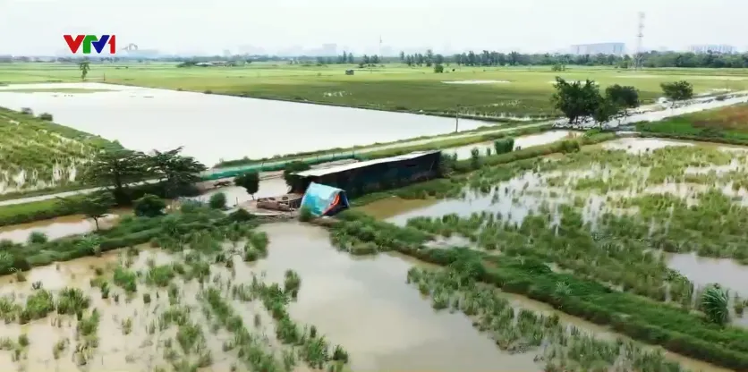 Thanh Oai, Hà Nội: Rà soát công tác dồn điền đổi thửa tại xã Bình Minh - Ảnh 2.