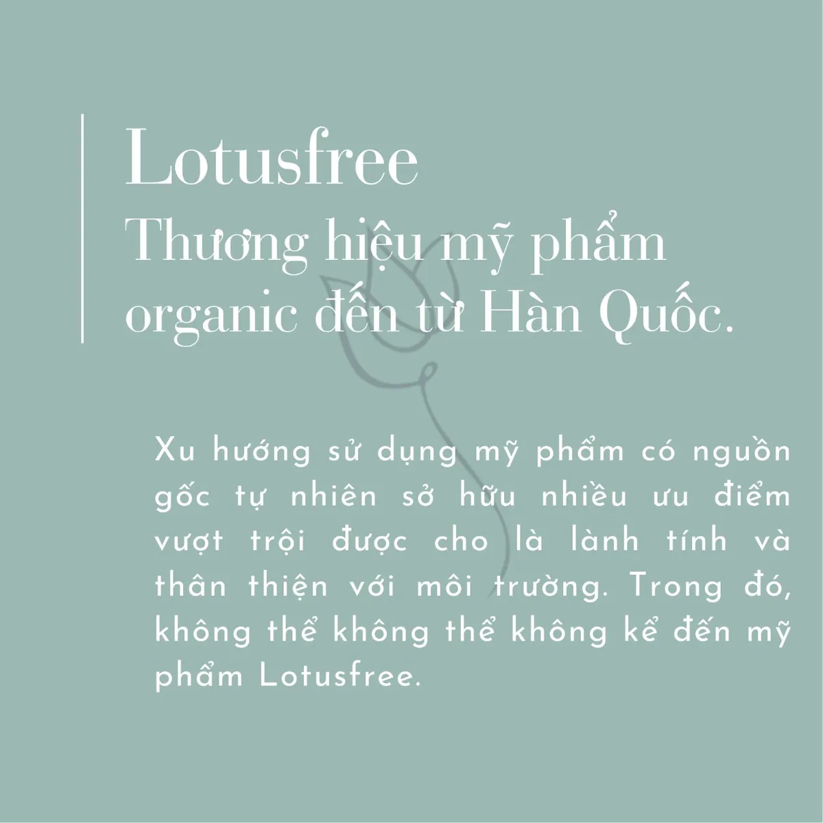 Lotusfree - Thương hiệu mỹ phẩm organic đến từ Hàn Quốc - Ảnh 1.