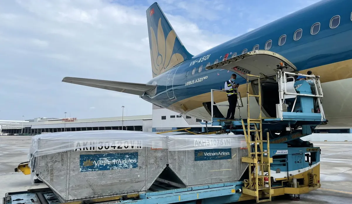 Vietnam Airlines huy động mọi nguồn lực vận chuyển vật tư y tế tiếp sức chống dịch - Ảnh 1.