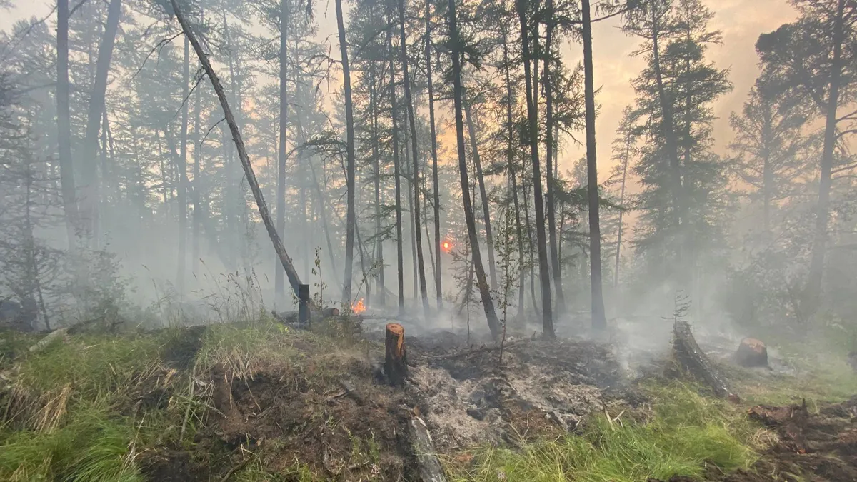 Siberia đối mặt với cháy rừng sau tháng 6 khô nóng  nhất trong 133 năm qua - Ảnh 2.