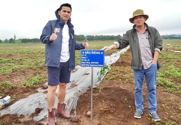 Cầu thủ Hoàng Anh Gia Lai đi trồng sầu riêng - Ảnh 1. Cầu thủ Hoàng Anh Gia Lai đi trồng sầu riêng - Ảnh 1.
