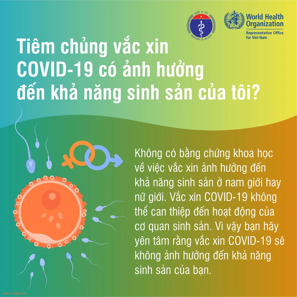 Sự thật những tin đồn về vaccine phòng COVID-19 - Ảnh 1. Sự thật những tin đồn về vaccine phòng COVID-19 - Ảnh 1.