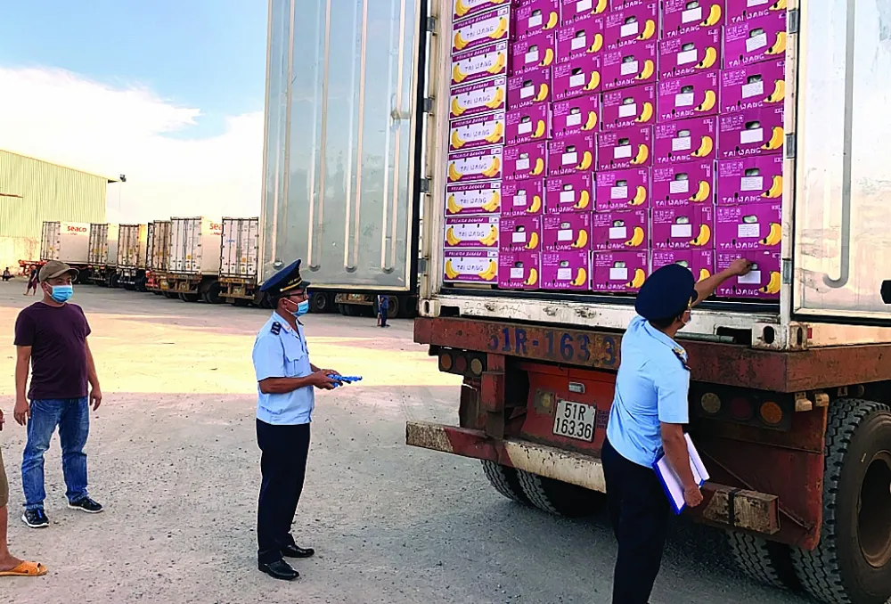 Doanh nghiệp kiến nghị tháo gỡ khó khăn về kiểm dịch thực vật - Ảnh 1.