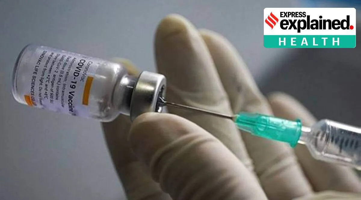 Ấn Độ phê duyệt sử dụng khẩn cấp vaccine sử dụng công nghệ ADN đầu tiên trên thế giới - Ảnh 1.