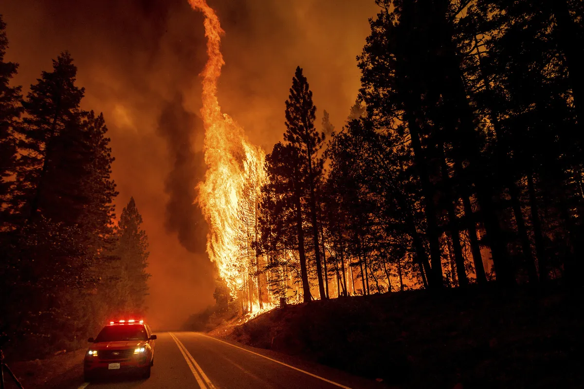 Cháy rừng lan nhanh ở California, hàng nghìn người phải sơ tán - Ảnh 1.