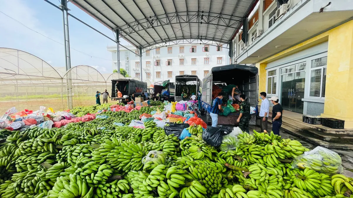 Tấm lòng người miền ngược gửi cả nước chống dịch - Ảnh 1.