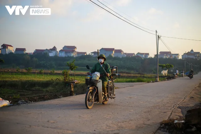 Nụ cười đồng áng lại nở trên những ruộng rau tại Hà Nội sau nới lỏng giãn cách - Ảnh 3.