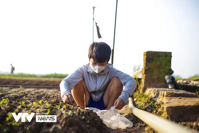 Nụ cười đồng áng lại nở trên những ruộng rau tại Hà Nội sau nới lỏng giãn cách - Ảnh 5.