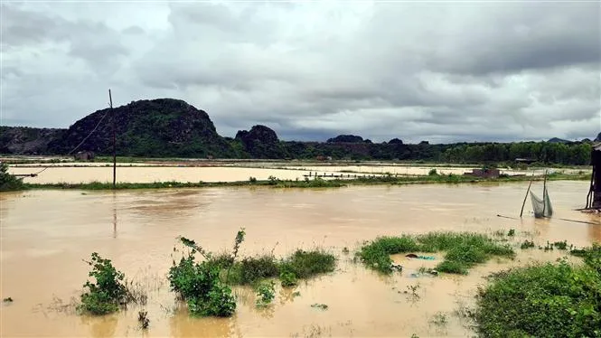 Mưa lớn gây sạt lở nhiều tuyến đường ở Nghệ An, Hà Tĩnh - Ảnh 3.