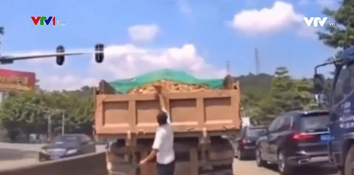 H&agrave;nh động đẹp v&igrave; an to&agrave;n chung - Ảnh 1.