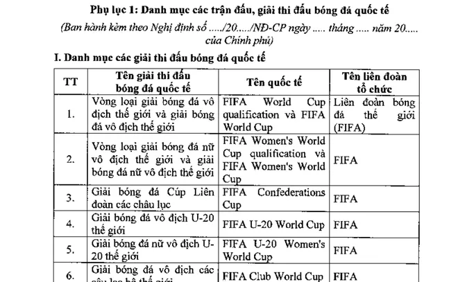 Bộ Tài chính đề xuất cho người Việt cá cược bóng đá vòng loại World Cup - Ảnh 2.