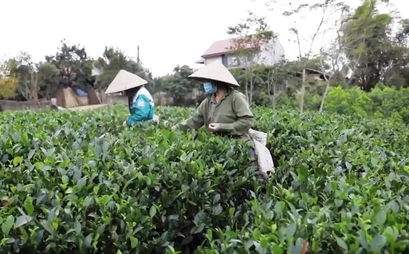 Cặp lá yêu thương: Nghị lực của cô bé mồ côi cha - Ảnh 2.