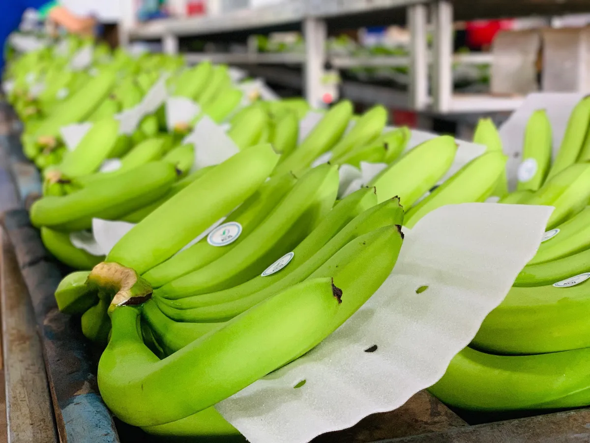 KDI Holdings: D&aacute;m đương đầu với th&aacute;ch thức, linh hoạt ứng biến để nắm bắt cơ hội - Ảnh 3.