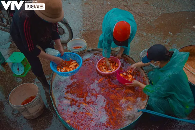 Nhộn nhịp khu chợ buôn bán “phương tiện” cho các Táo ngày về chầu Trời - Ảnh 7.