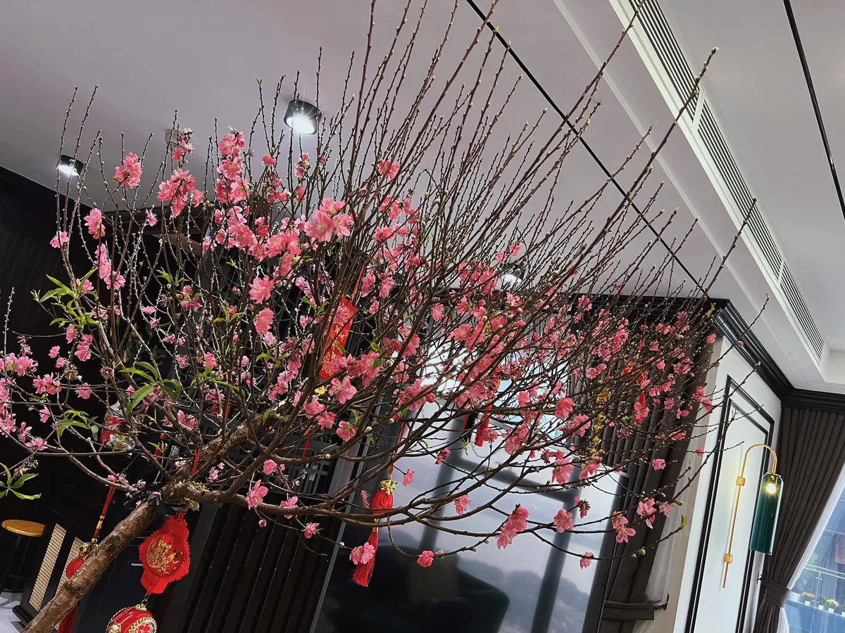 Nh&agrave; Phương Oanh g&oacute;c n&agrave;o cũng thấy Tết - Ảnh 5.