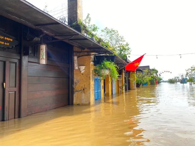 Hội An khắc phục hậu quả mưa lũ - Ảnh 8.