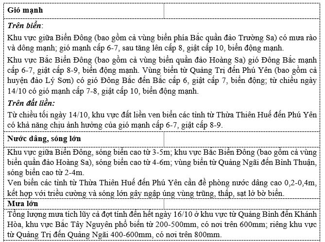 Tin áp thấp nhiệt đới khẩn cấp - Ảnh 2.